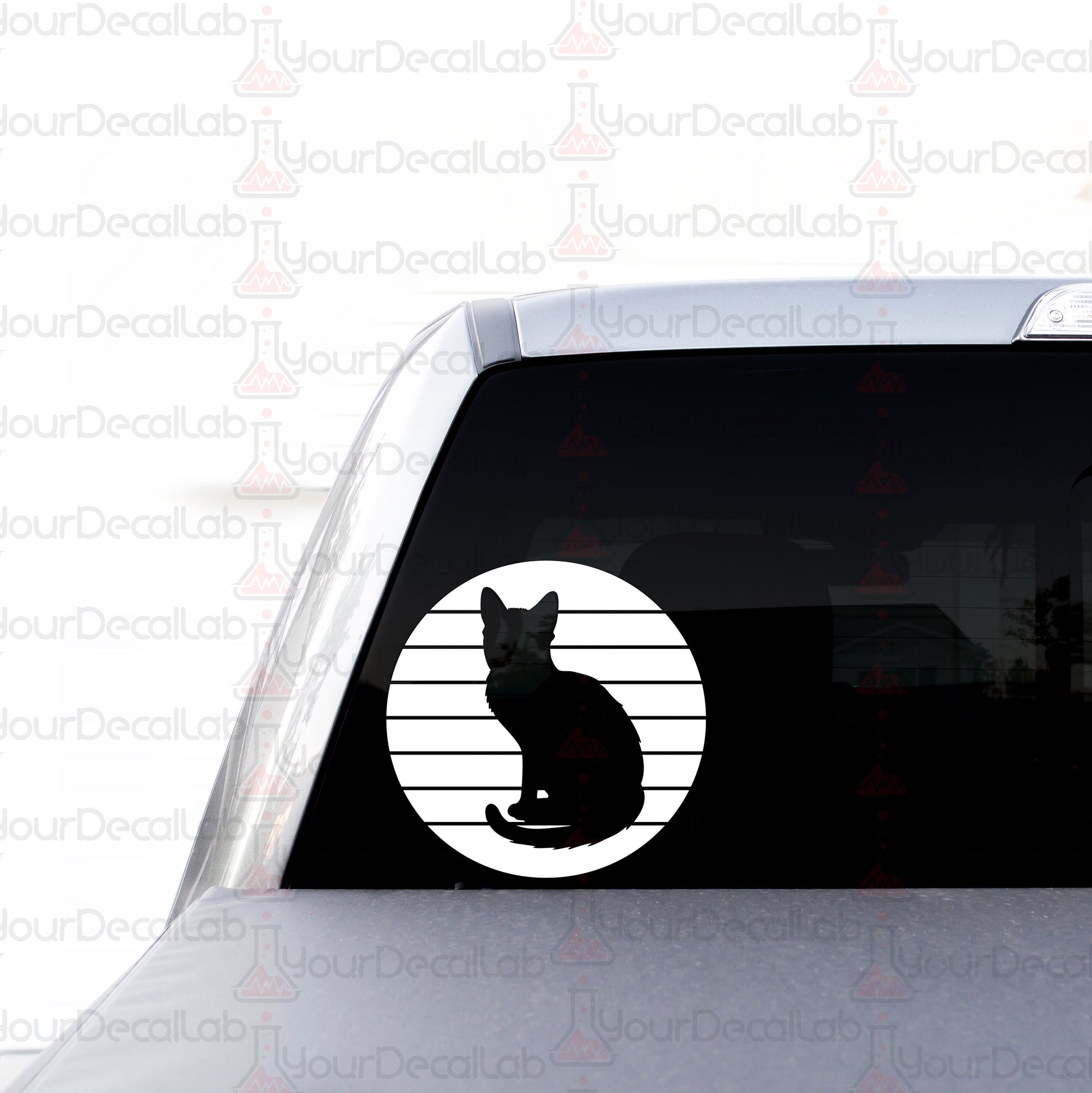a car with a cat on the back of it