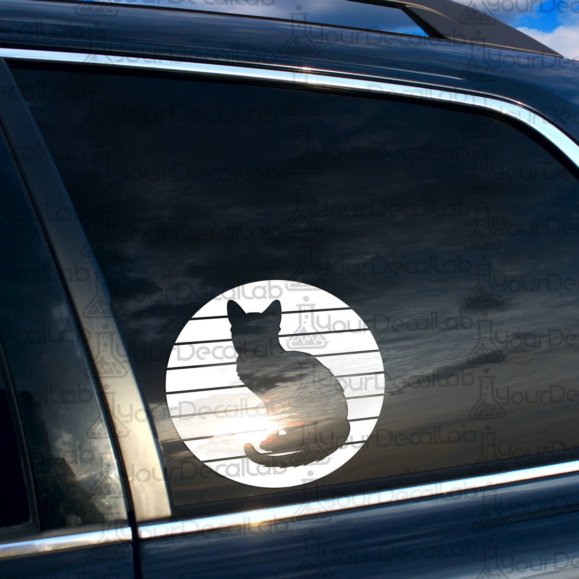 a cat sticker on the side of a car