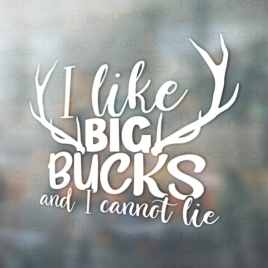 i like big bucks and i cannot lie