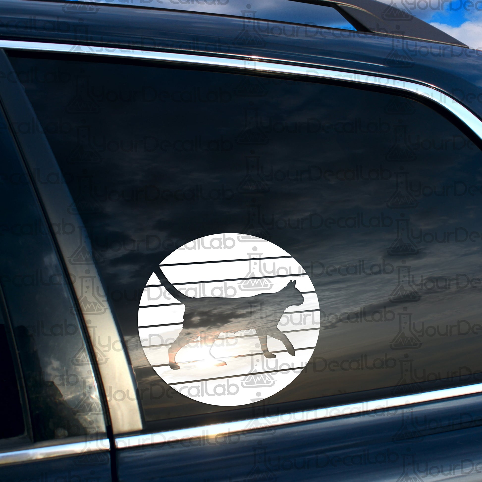 a cat sticker on the side of a car