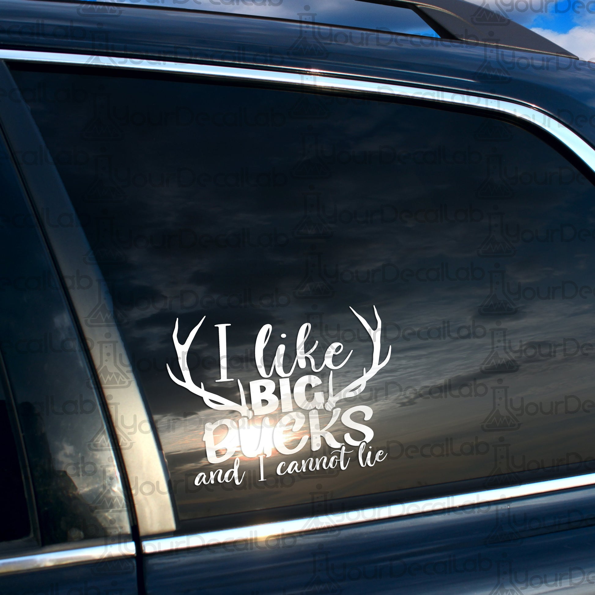 a car with a sticker that says i like big bucks and i cannot lie